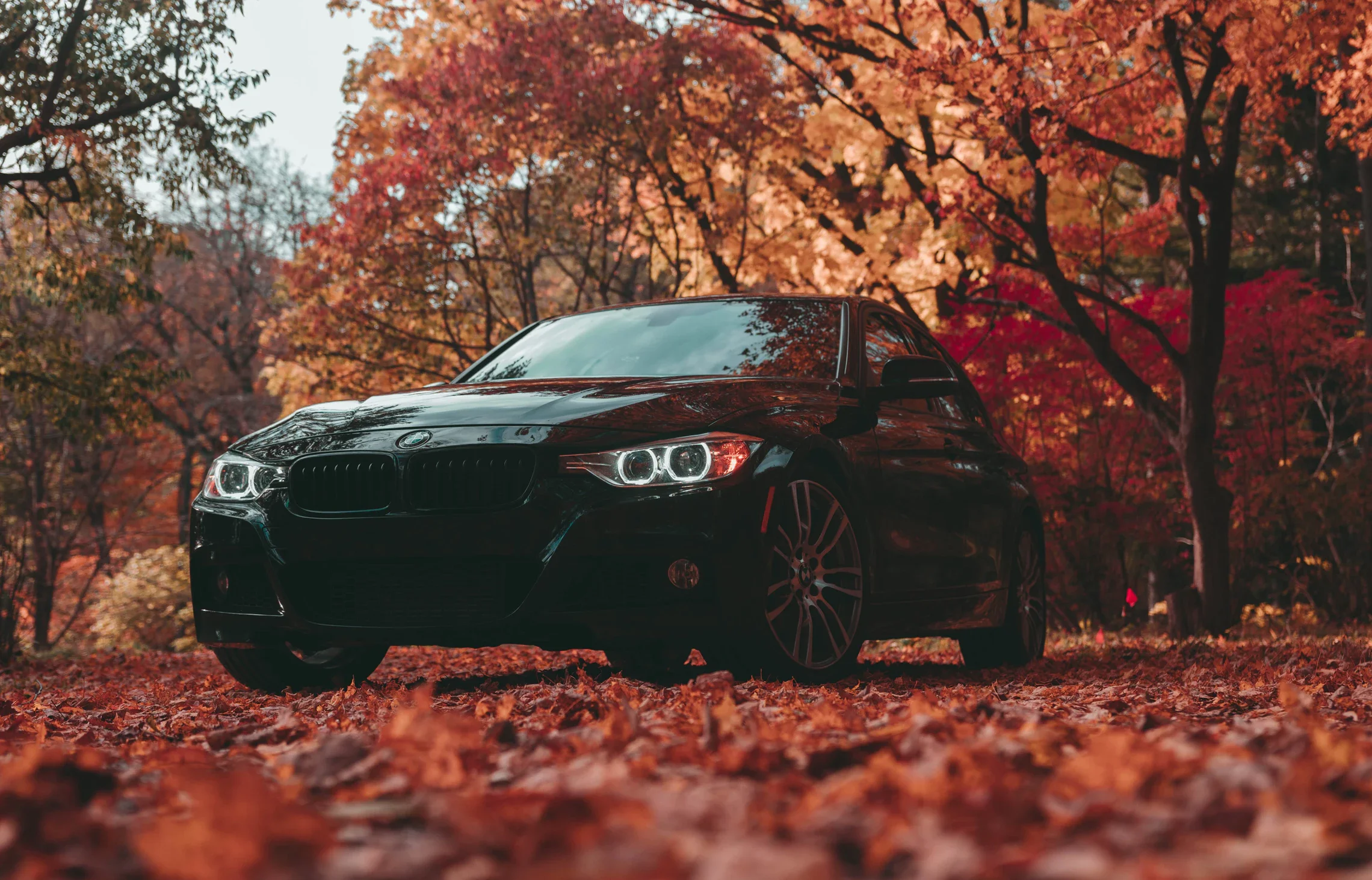 BMW popular article