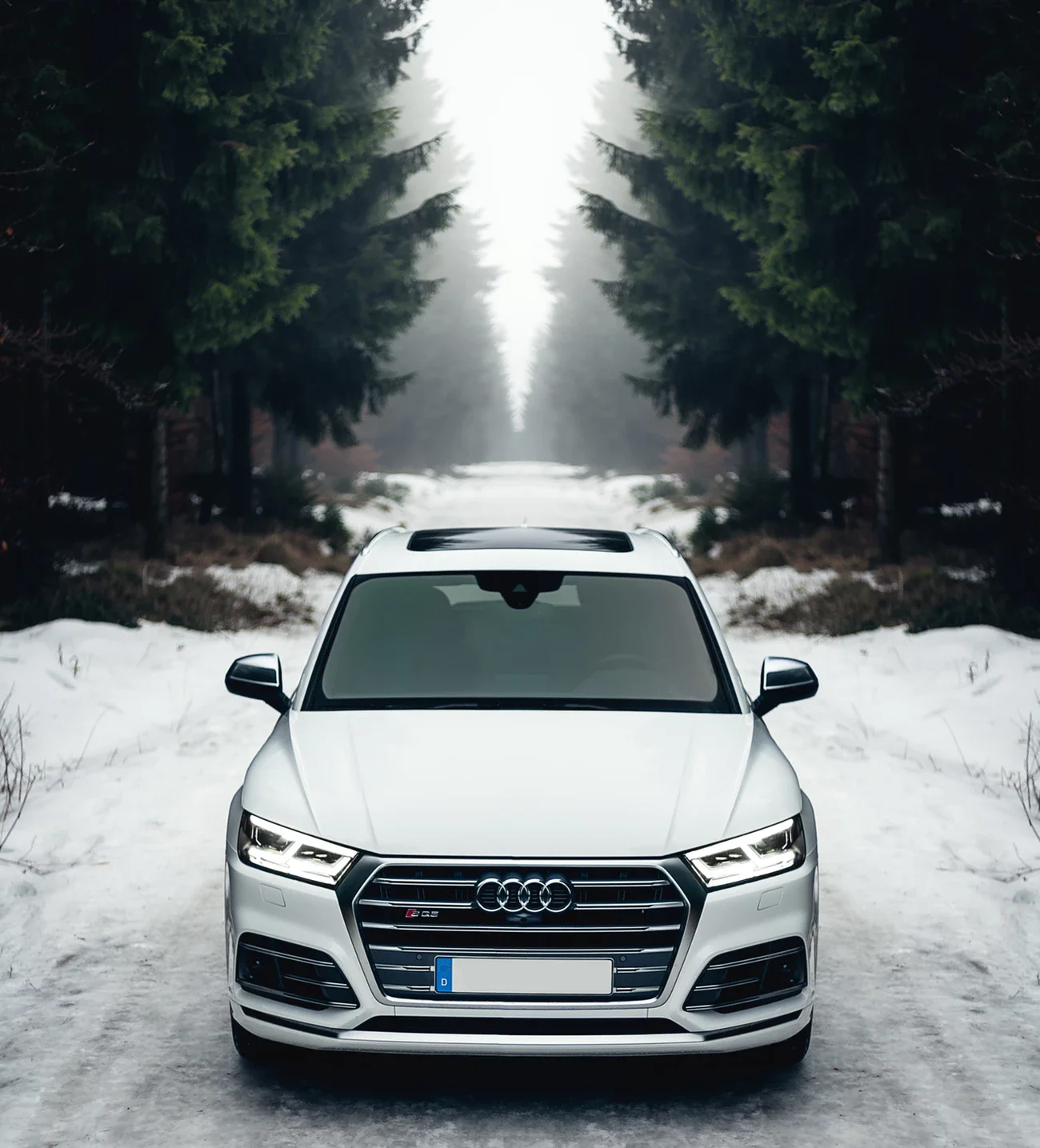 Audi sports car