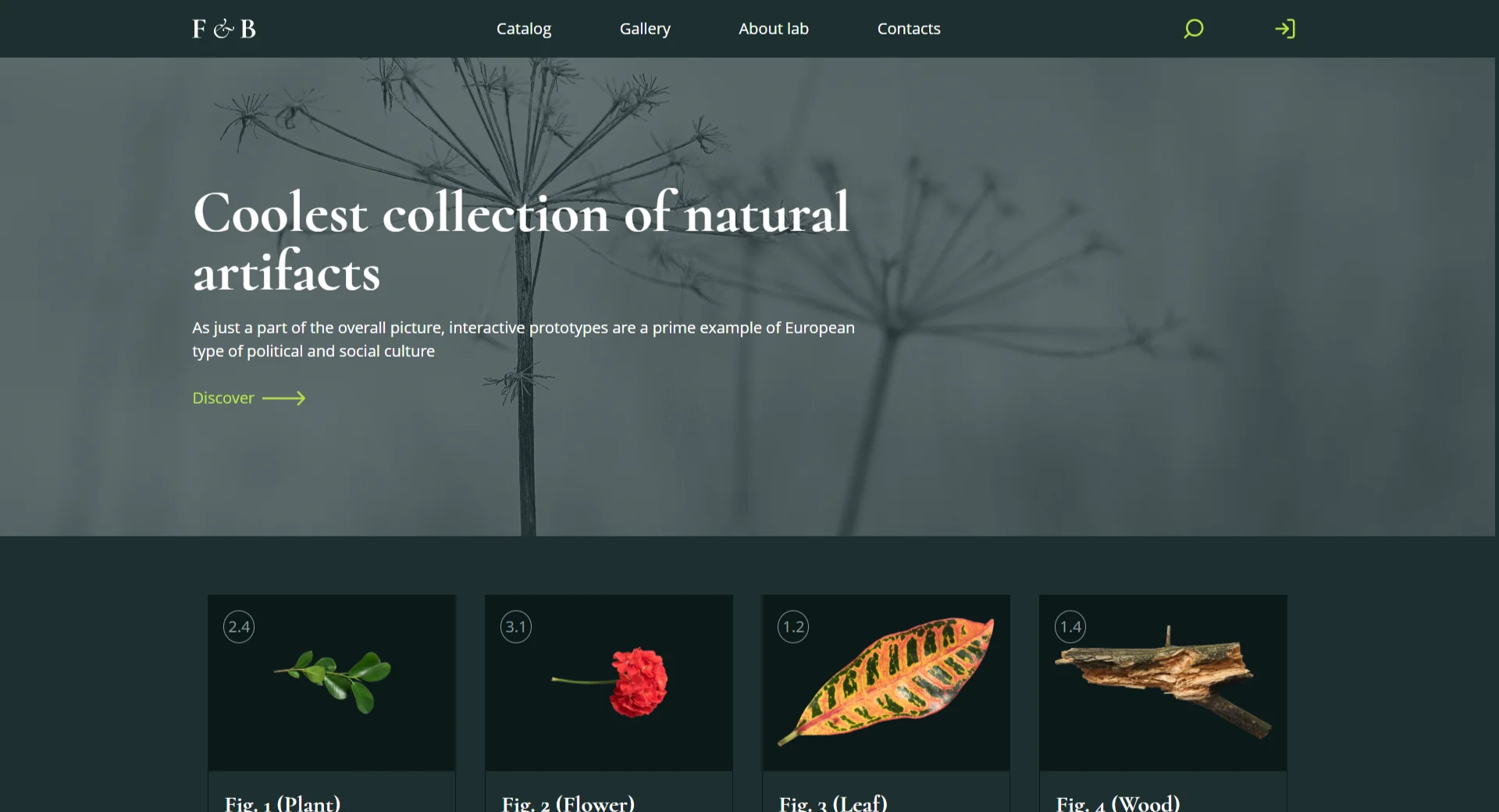 Natural Artifacts Collection preview