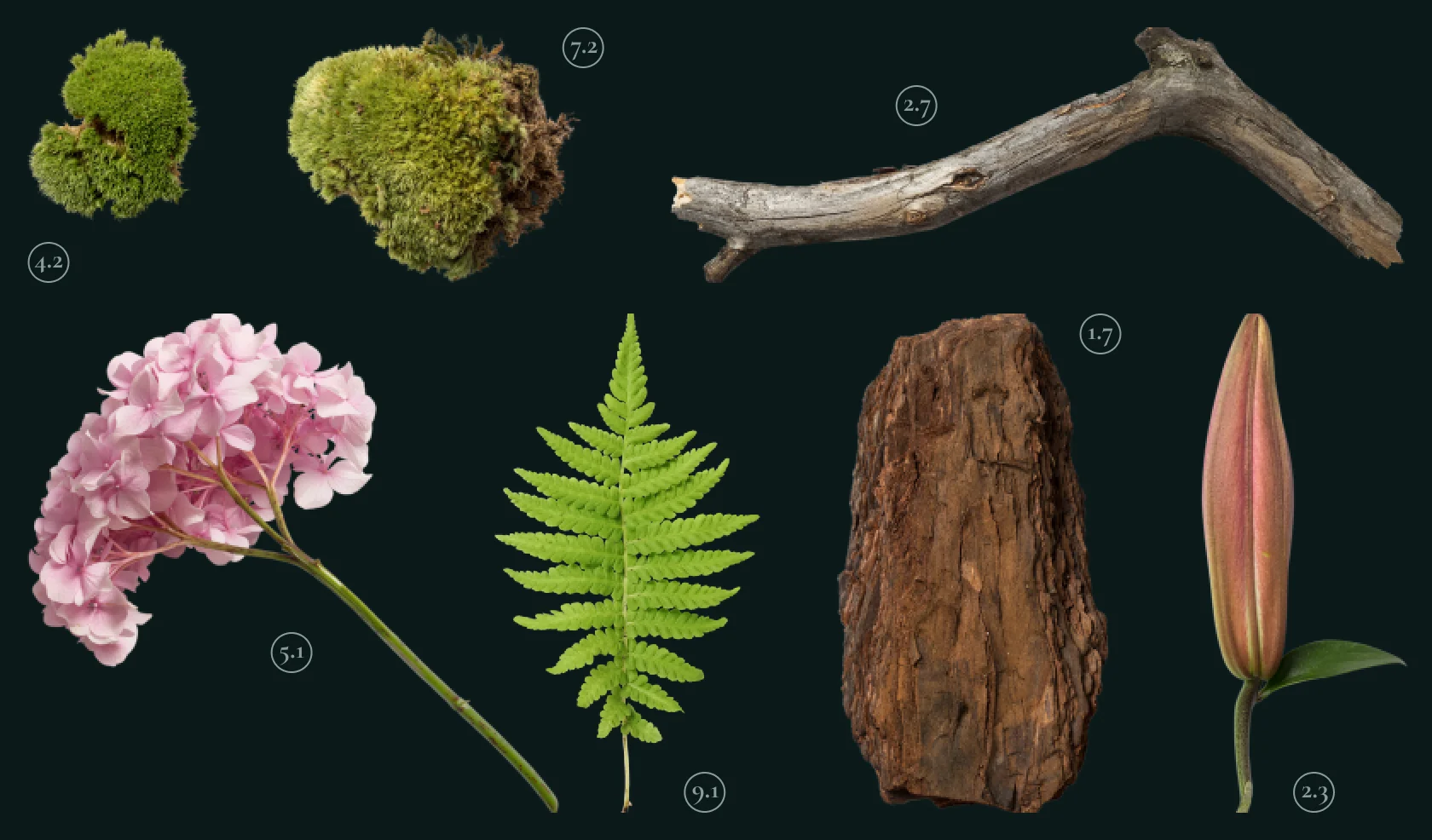 New Artifacts